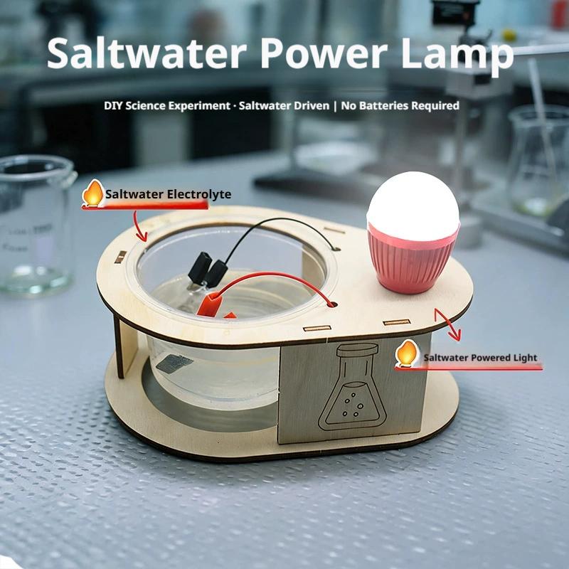 DIY Salt Water Power Generatio - Science Kit review and price